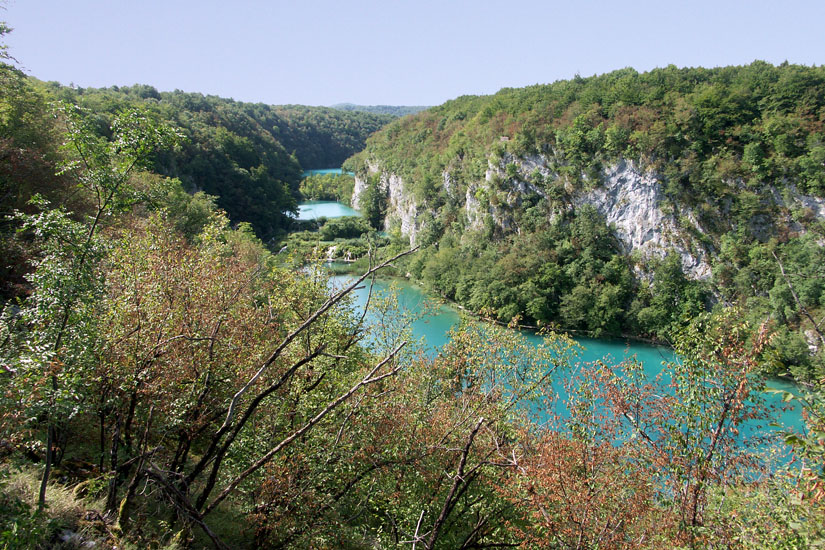 Obraz 008